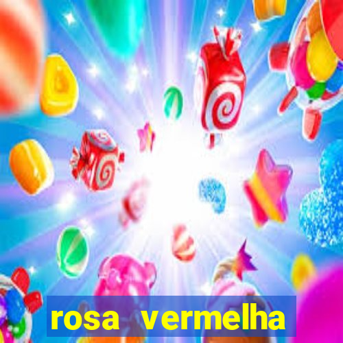 rosa vermelha (letra e cifra)